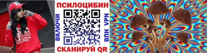купить наркотики цена Сим Галлюциногенные грибы MAGIC MUSHROOMS